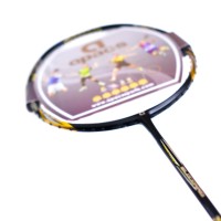 Raket Apacs Blizzard ZZ