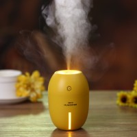 Jual USB Lemon Humidifier with LED Light - 180ML Murah