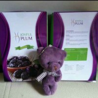 Joyful Plum Buah Plum Kering Pelangsing (Amoorea)