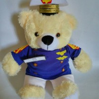 Jual Boneka Wisuda Profesi | Hadiah wisuda Boneka Teddy Bear | Teddy Bear Murah