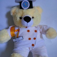 Jual Boneka Wisuda Profesi | Boneka Wisuda Pelayaran | Hadiah Wisuda Murah