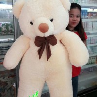 Jual boneka teddy bear beruang super jumbo Murah