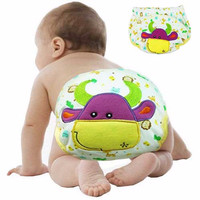 Jual MURAH Cloth Diapers / Clodi / Training Pants / Celana latihan pipis Murah