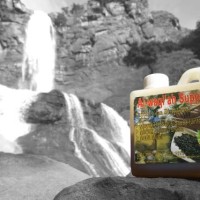 Jual Madu Habbatussauda / Madu Arab / Madu Murni / Bersertifikat Murah
