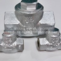 LIFT CHECK VALVE HITACHI MALL 1/2* DRAT