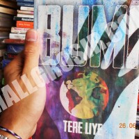 buku novel bumi tere liye