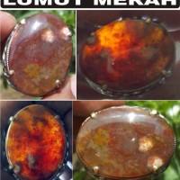 Cincin Batu Akik Lumut Merah