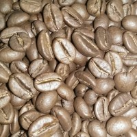Jual Kopi Robusta Organik Temanggung Roast Bean 250gr Murah