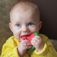 Jual gigitan bayi semangka Dr brown - teether bayi semangka Dr brown Murah