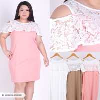 Jual Big size Jasolinna Lace Cold Shoulder Mini Dress XXXL, XXL Murah