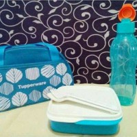 Jual Bekal Tupperware Set P Murah