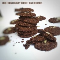 Jual Tekpuk Oat Cookies (Asi Booster) Murah