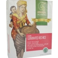 Jual Gasol Beras Merah Butir Organik MPASI 300 Gr Murah