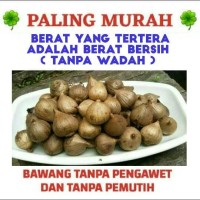 Jual Bawang Hitam Tunggal/Lanang/250 gr/1/4 Kg (PALING MURAH) Murah