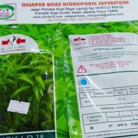 Seed Benih Bibit Biji Kangkung Bangkok LP-1 Daun Lebar Regular Pack