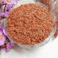 Jual Beras Merah Organik Bersertifikat Murah