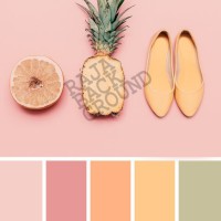 Jual ALAS FOTO PASTEL COLOR 100cm x 50cm (Lebih Besar dari A2 & A1) Murah