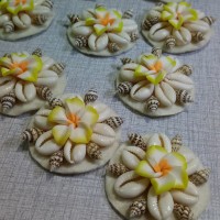 Jual kerang biji congklak untuk kerajinan, hiasan, souvenir Murah
