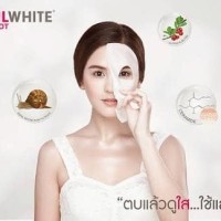 Jual Snail White Murah