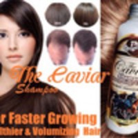 Jual caviar shampoo / shampo kuda / shampoo kuda Murah