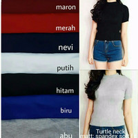 Jual Baju Cewek Atasan Murah turtle neck / Baju wanita / Baju atasan / Blou Murah