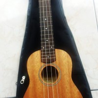 Jual Gitar Ukulele Yamaha Murah