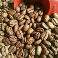 Jual Kopi Gayo Premium Arabika 250 gr Murah