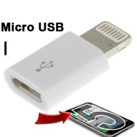 Jual Converter Micro USB Female Lightning 8 Pin Adapter iPhone 5s iPad Air Murah