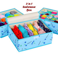 Jual ORGANIZER 3in1 Underwear Box BIRU CHERRY (Bahan lebih t DS Murah