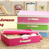 Jual ORGANIZER 2 in 1 Underwear Bag (Tas untuk tempat celana dala DS Murah