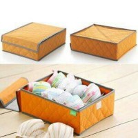 Jual Organizer untuk BH/BEHA/ BRA - Underwear Storage Box BH Bra Murah
