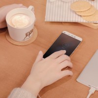 TRAND Xiaomi Mi 2 PowerBank 10000mAh Fast Charge Original 100 JSP113