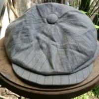 Topi Pet Newsboy Override Japan
