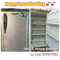 Sewa Freezer Asi/Asip Toshiba 5 rak (Sementara Depok Only)