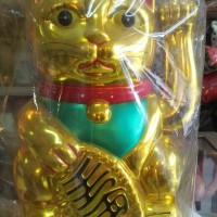 Jual kucing hoki jumbo Murah