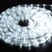 WSN1 lampu led selang rope light lampu dekorasi 10m PUTIH
