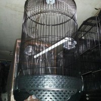 Kandang love bird best one