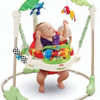 jumperoo fisherprice rainforest sewa 200k/bulan