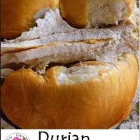 bibit/biji benih buah Durian Duri Hitam Durian Ochee