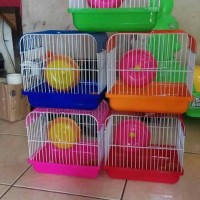 kandang kecil untuk hamster n sugar glaider