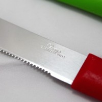 Oxone Set Rainbow Steak Knife ox-601, Pisau Steak/ Pisau Roti/ Pizza