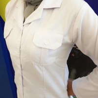 Baju Seragam Putih Wanita PNS Panjang Kerah Blus