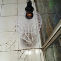 Kandang besi pleci panjang