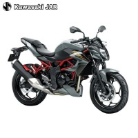 Kawasaki Z 250 SL ABS - Grey