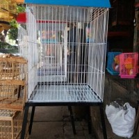Kandang Burung beo Kaki warna biru ukuran Besar