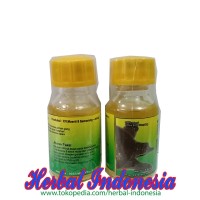 Minyak Bulus Nori Original 15 ml