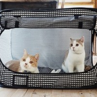 (Diskon) Portable Cat Cage - Kandang Kucing