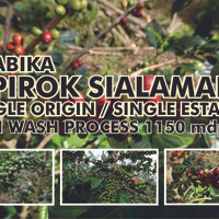 Jual Biji Kopi / Green Bean Arabika Sipirok dari Desa Sialaman Murah