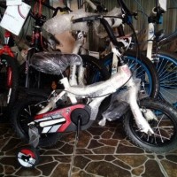 Sepeda Anak 12 Bmx Polygon Bad Badtz-Maru Putih
