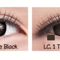 Softlens Living Color Adore 1 Tone Black